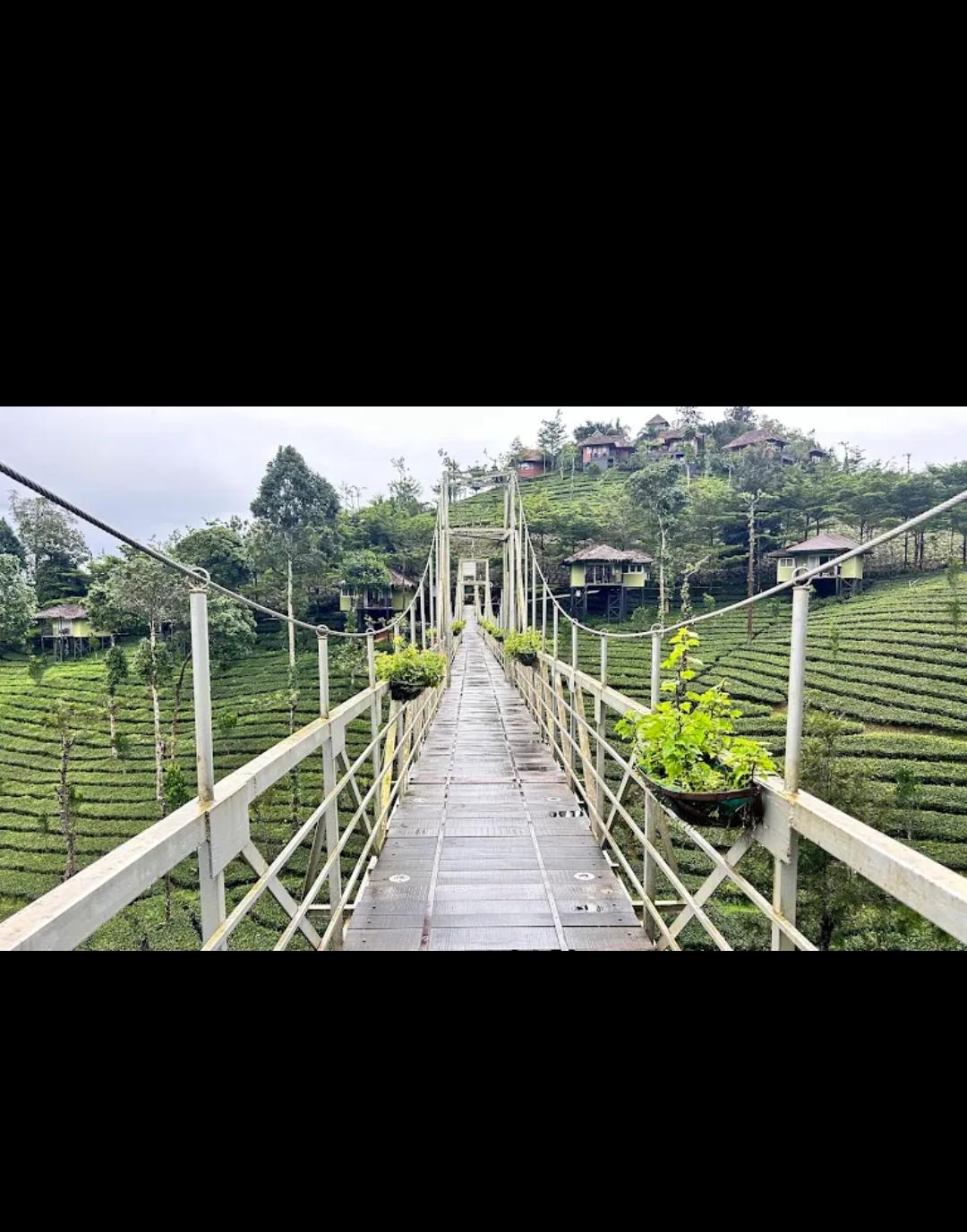 Ooty Resort